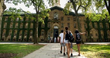 Princeton offering gender studies course exploring reproductive life in Gaza 'genocide'