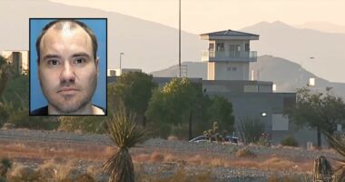 Prison staff let convict kill cellmate due for release: Suit