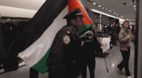 Pro-Palestinian agitators storm popular fashion store in Manhattan on Black Friday, 4 arrested: NYPD