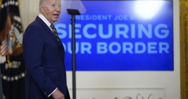 Questions Linger on How Afghan Terrorist Was Vetted—National Counterterrorism Center Dir. Has an Answer