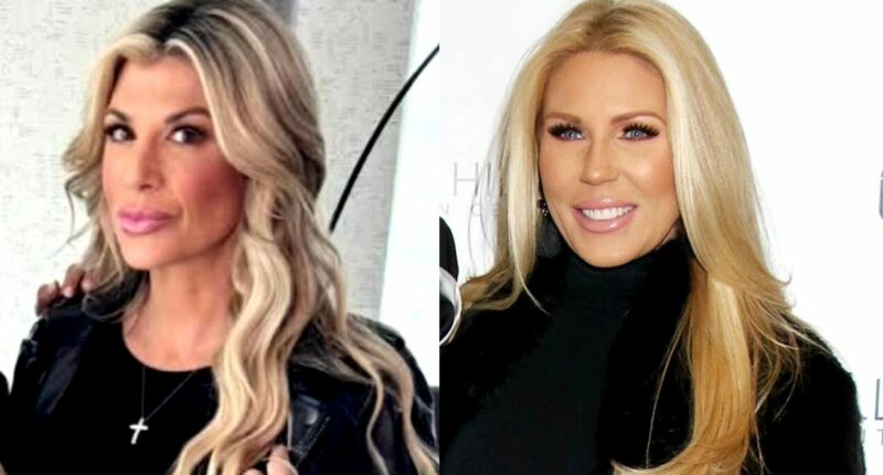 RHOC's Alexis Bellino Alleges Cyber Analyst Who Investigated Offensive Posts is “Slade’s Friend”