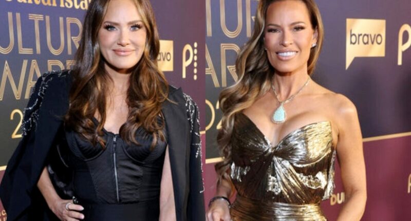 RHOSLC's Meredith Marks Reveals If She Regrets Plane Drama With Britani