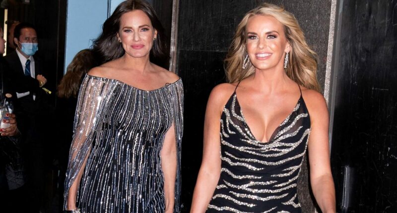 RHOSLC's Meredith Marks Suggests Whitney is Projecting About "Dumb" Substance Abuse Claims