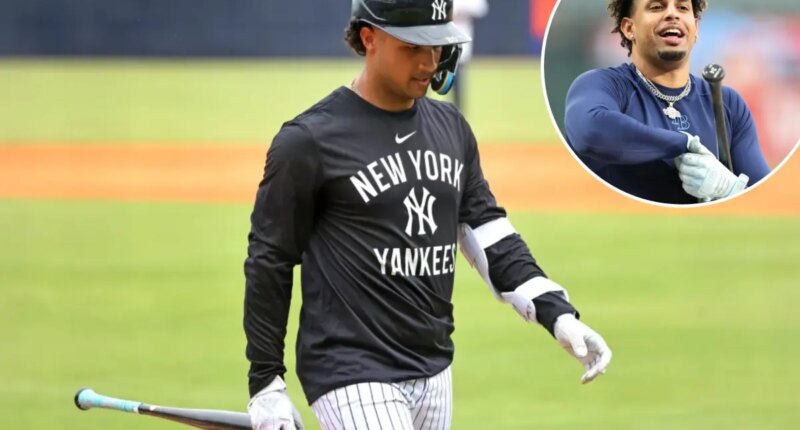 Rays deal away one-time prized Yankees prospect Everson Pereira