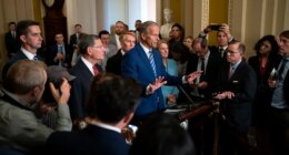 Republicans scramble for ideas to reopen government after pressure tactics fail