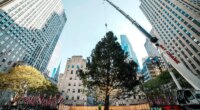 Rockefeller Center Christmas tree arrives in Manhattan, kicking off New York’s holiday season