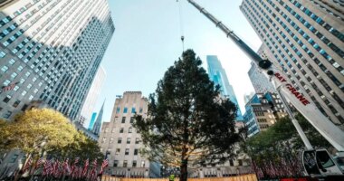 Rockefeller Center Christmas tree arrives in Manhattan, kicking off New York’s holiday season