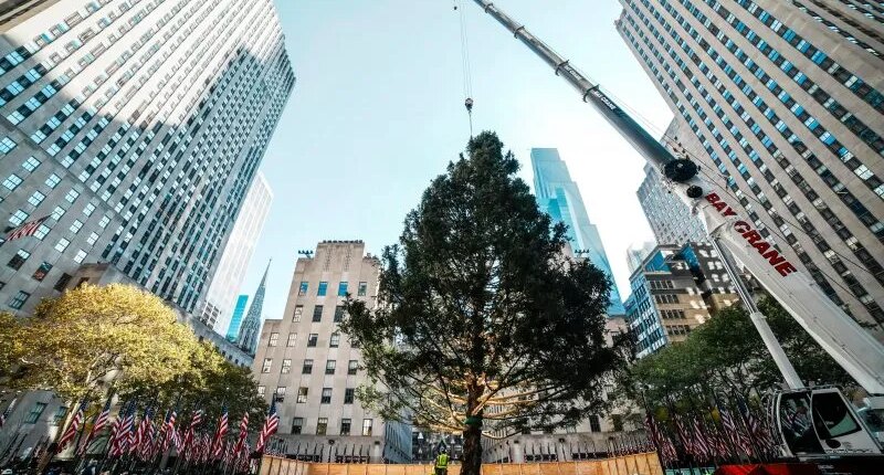 Rockefeller Center Christmas tree arrives in Manhattan, kicking off New York’s holiday season