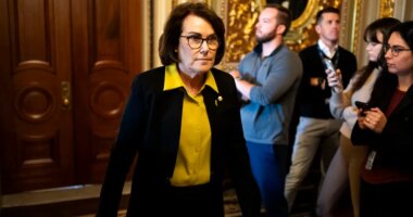 Rosen accuses Moreno of snooping on staff's cars