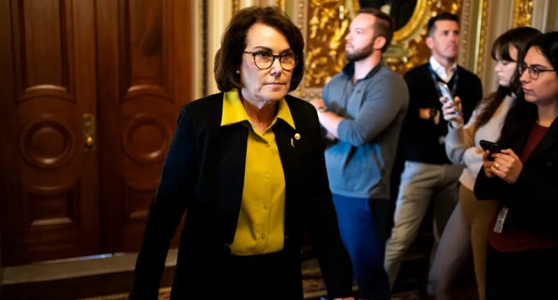 Rosen accuses Moreno of snooping on staff's cars