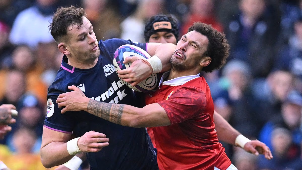 SCOTLAND 56 TONGA 0: Flat-track bullies and nothing more ... alas that's all we can really say about Gregor Townsend's team after this pointless exercise at Murrayfield