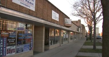 Scott Loeffer charged with armed robbery of staffer at Illinois state Senator Don Harmon's Oak Park, Illinois office: court docs