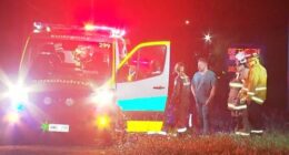 A 25-year-old Adelaide man died after an alleged hit and run in Hillier, South Australia.