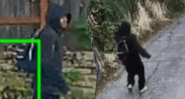 Seattle robber bites off 88-year-old woman's finger during violent robbery, police say