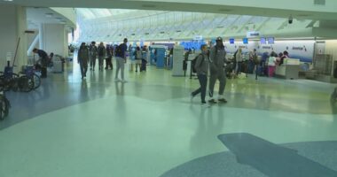'See him in 3D today': Travelers embrace loved ones at airport gate during busiest day of travel