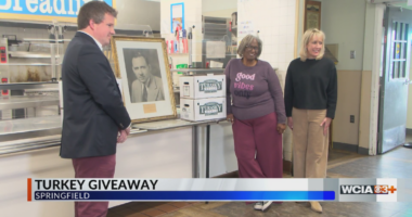 Sen. Doris Turner providing community help through turkey donation in Springfield