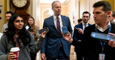 Senate passes bill to reopen government; House set to return to DC