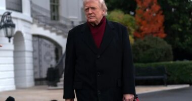 Senator says US 'can't afford' $2K tariff checks: Is he right?