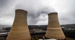 Mt Piper power plant