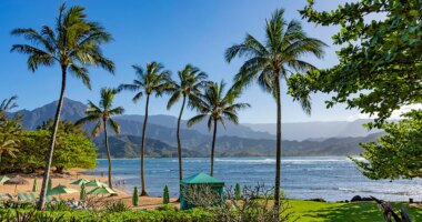 Shark attack leaves beachgoers shaken as popular tourist haven goes on alert