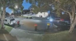 Shock CCTV shows moment man is snatched off the street in Sydney