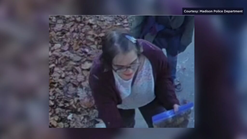 Slender Man Waukesha stabbing: assailant Morgan Geyser taken into custody after fleeing group home, police say