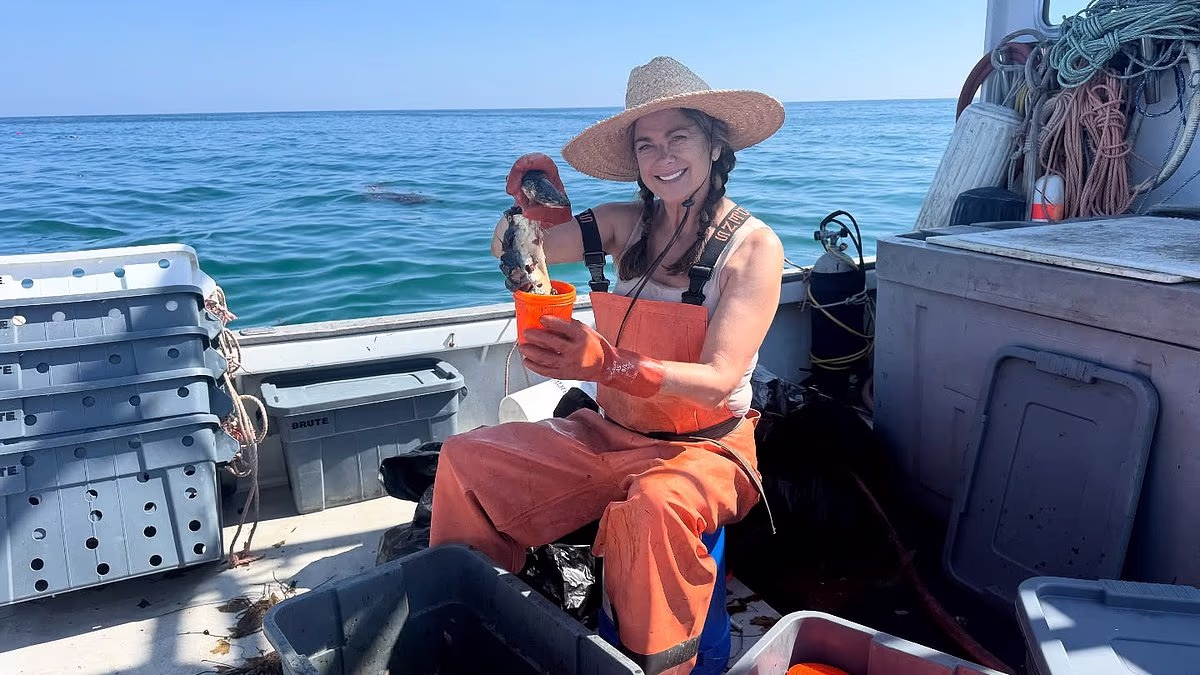 Sports Illustrated icon who swapped modelling for commercial fishing reveals reason for career pivot