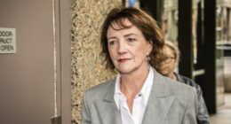 Stage set for court battle by Brittany Higgins' ex-boss in fight against government