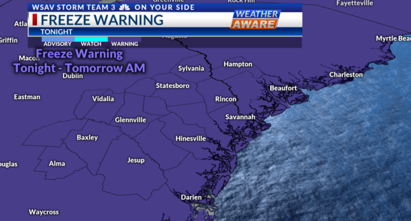 Storm Team 3: Freezing temperatures expected tonight