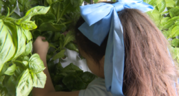 Students use high-tech farm to feed classmates in Texas