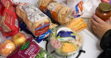 Supreme Court issues emergency order to block full SNAP food aid payments