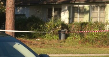 Suspect shot during Jacksonville home invasion, captured after stealing victim's car, police say
