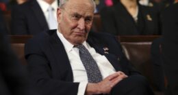 Swing Voters Have Some Bad News for Dems With Blowback Over Shutdown