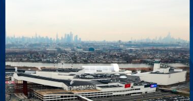 TERROR IN THE HEARTLAND: BOY, 5, HURLED OFF MALL OF AMERICA BALCONY, PREDATOR STALKED MALL
