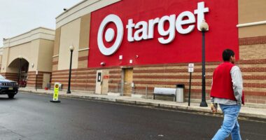 Target's Thanksgiving meal deal drops below $20