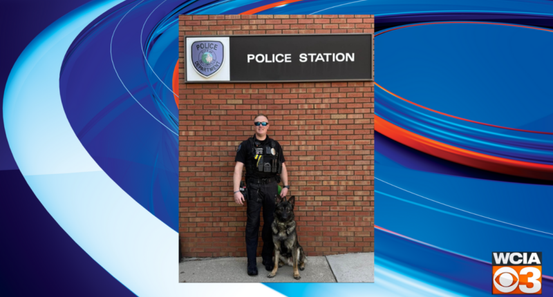 Taylorville K9 receiving protective vest
