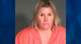 Teacher’s Aide Who Began Flirting with Boy When He Was 12, Now Accused of Child Sex Assault