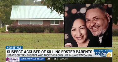 Teen killed foster parents before dying by suicide: Police