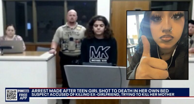 Teen shot ex-girlfriend then aimed for her mom: Police