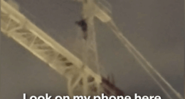 Teen who climbed 20-storey crane arrested after eight-hour standoff