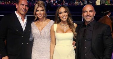 Teresa Giudice Says Luis’ “Beautiful Text” Sparked Reunion With Joe Gorga