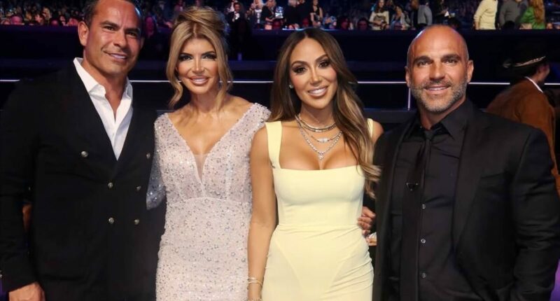 Teresa Giudice Says Luis’ “Beautiful Text” Sparked Reunion With Joe Gorga