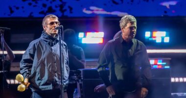 Terrifying scenes at Oasis gig as brothers blindsided after flares launched into crowd