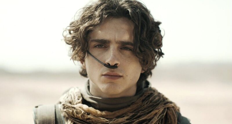 The 12 Biggest Oscar Snubs Of The 2020s (So Far)