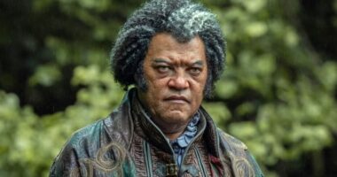 The One Detail That Made Laurence Fishburne Join The Witcher Season 4