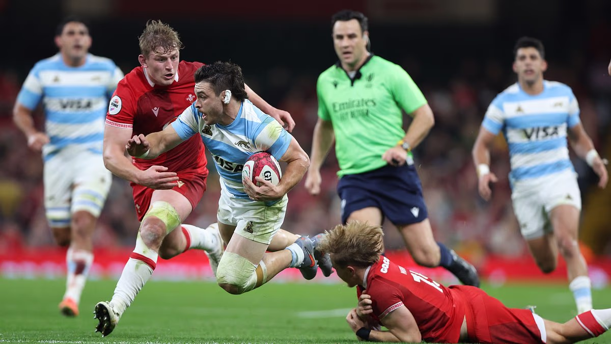 The six Argentina stars who can end England's unbeaten run this week as they hunt revenge: The man who knows Steve Borthwick inside out, the threat to England's biggest weakness and a 6ft 6in, 19st 'pain in the a**e'