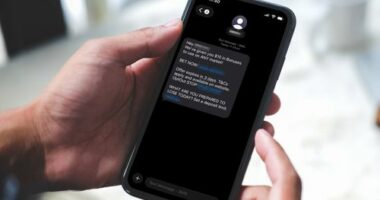 A phone showing a text from a gambling company to a customer.