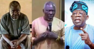 "They are warning me to stop exposing Tinubu