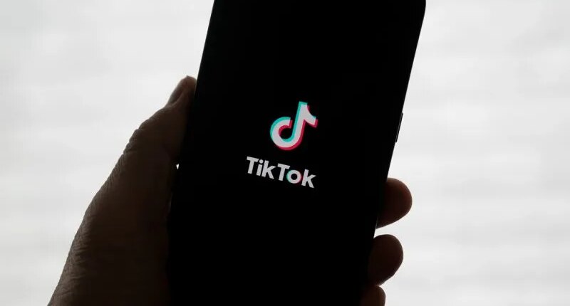 TikTok offering ways to reduce AI in feeds, launching $2M literacy fund