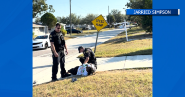 Traffic stop in St. Pete leads to resisting arrest charge, highlights 25-foot ‘Halo’ law